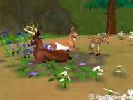MeriStation: SimAnimals Review