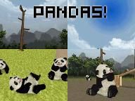 NWR: National Geographic Panda Review