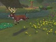 Guardian: Sim Animals Review