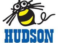 Hudson bringing FPS title, Adventure Island to WiiWare
