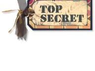 Q&A: David Perry’s Top Secret