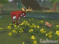 Tiscali: SimAnimals Review