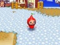Animal Crossing Wii DLC