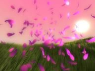 Gamer 2.0 Review: Flower (PSN)