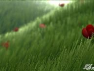 GiantBomb: Flower Review