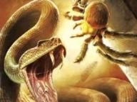Deadly Creatures:  First Impressions