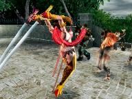 Onechanbara Strategy Guides for the Wii and Xbox 360