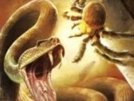 MRP Review:  Deadly Creatures