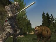 Virtual Games Players Stick Close To Home