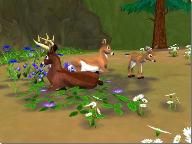 ButtonMasher: SimAnimals Review