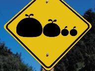 Sony’s Kuono: simplicity, lack of direct control key to LocoRoco success