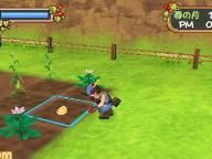 Harvest Moon: Sugar Village Japanese Marriage Trailer