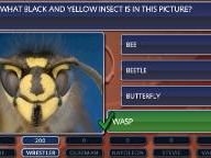 Wonderwallweb review Buzz! Brain Bender