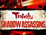 EverGeek: Tenchu Shadow Assassins Review