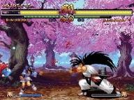 Diehard GameFAN: Samurai Shodown Anthology Review