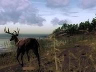 Fancy yourself a hunter; the most visually stunning hunting game now in open beta