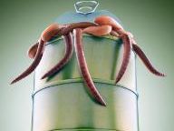 Beware Conficker worm come April 1