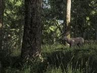 UltraNinjas: The Hunter Review