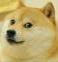 Doge