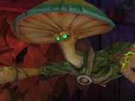 Orange: Mushroom Men: The Spore Wars Review