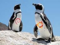 Linux Foundation CEO: Linux is "fastest growing platform"