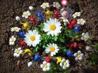 VGB: New Play Control Pikmin Review