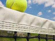 PS3 And 360 Grand Slam Tennis Details