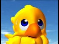 Yellow fever and bird flu: the Chocobo allure