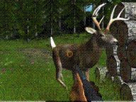 GDN: Deer Drive Review