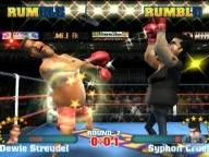 DIG Review: Ready to Rumble: Revolution