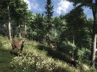 Gamer Limit Review: The Hunter