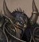 NDN_Shadow