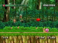 Aussie-Nintendo: Adventure Island Review