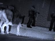 Worthplaying Preview – Dead to Rights: Retribution