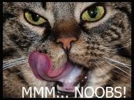‘Noob’ could be the millionth English word
