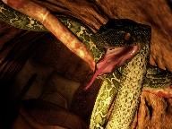 Tunnel Rats Now Available on Steam