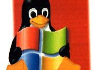 Microsoft, Linux join forces in software law debate