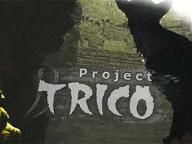 Sony Refusing to Comment on trICO