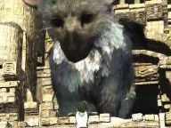 Project Trico, in-depth analysis