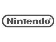 The Nintendo OS?