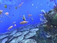 Finalboss: Aquanaut´s Holiday: Hidden Memories Review