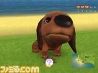 The Dog Island trailer