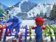 Mario And Sonic At The Olympic Winter Games Screens