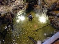 IGN: E3 2009: The Hunt Hands-On