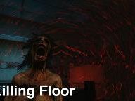 Co-Optimus Review: Killing Floor Co-Op