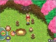 NWR: Harvest Moon: Frantic Farming Impressions