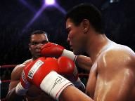 Fight Night Round 4 Screens