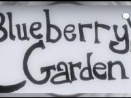 Spawn Kill Review: Blueberry Garden