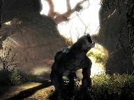Risen: Release date confirmed