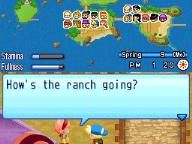 GamersInfo: Harvest Moon: Sunshine Islands First Look
